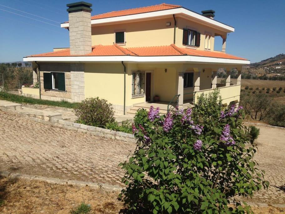 Casa Dos Copins Villa Lamego Exterior photo